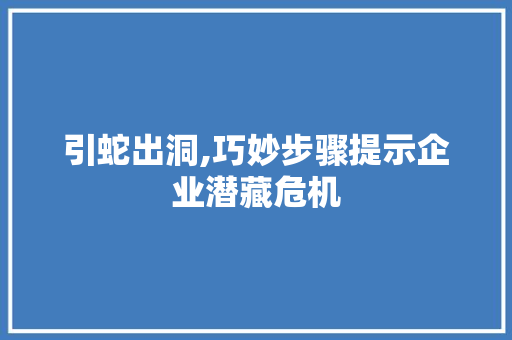 引蛇出洞,巧妙步骤提示企业潜藏危机 工作类