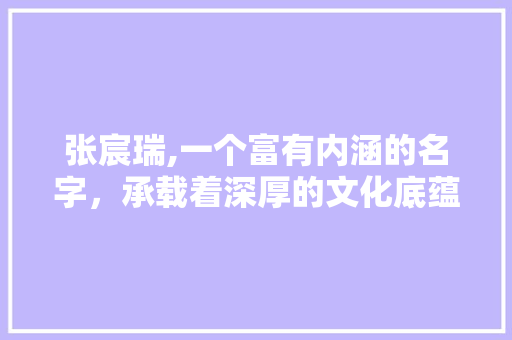 张宸瑞,一个富有内涵的名字，承载着深厚的文化底蕴