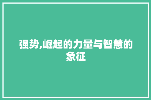 强势,崛起的力量与智慧的象征