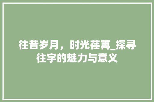 往昔岁月，时光荏苒_探寻往字的魅力与意义