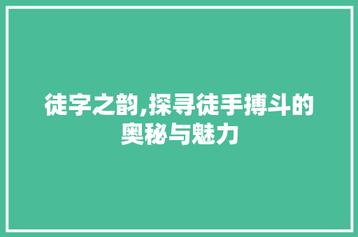 徒字之韵,探寻徒手搏斗的奥秘与魅力