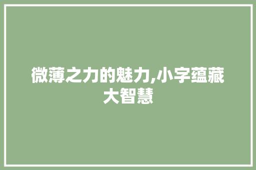 微薄之力的魅力,小字蕴藏大智慧