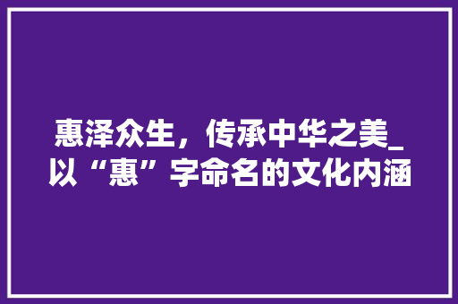 惠泽众生，传承中华之美_以“惠”字命名的文化内涵及其在现代社会的价值体现