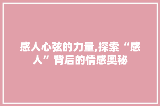 感人心弦的力量,探索“感人”背后的情感奥秘