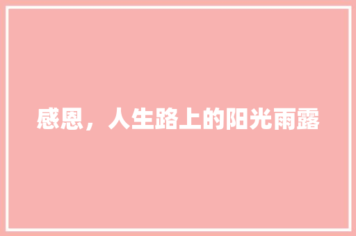 感恩，人生路上的阳光雨露