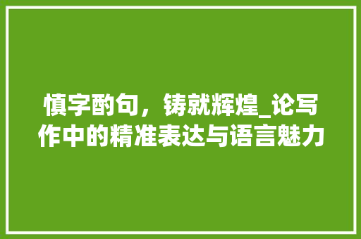 慎字酌句，铸就辉煌_论写作中的精准表达与语言魅力