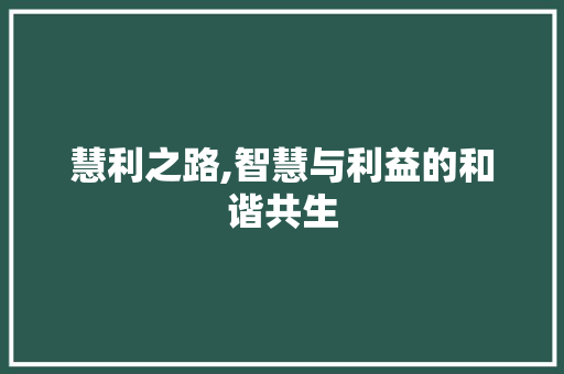 慧利之路,智慧与利益的和谐共生