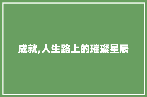 成就,人生路上的璀璨星辰