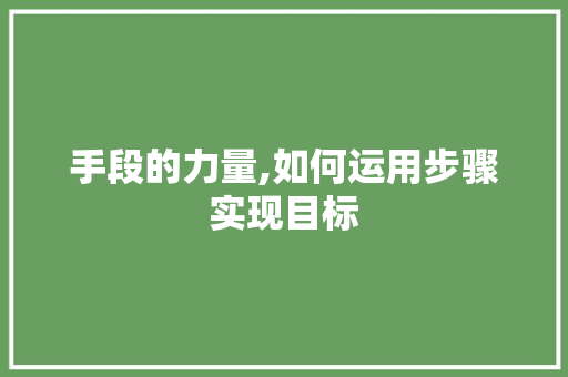 手段的力量,如何运用步骤实现目标
