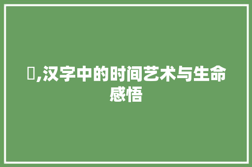 拪,汉字中的时间艺术与生命感悟