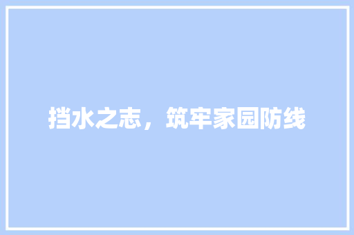 挡水之志，筑牢家园防线