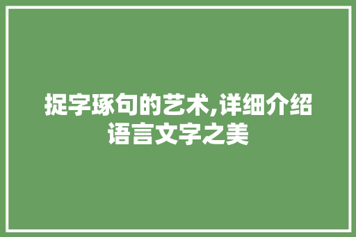 捉字琢句的艺术,详细介绍语言文字之美