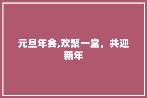 元旦年会,欢聚一堂，共迎新年