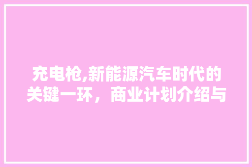 充电枪,新能源汽车时代的关键一环，商业计划介绍与未来展望