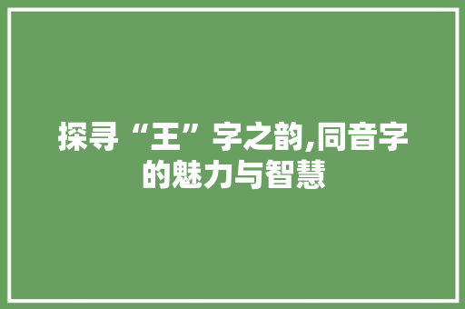 探寻“王”字之韵,同音字的魅力与智慧