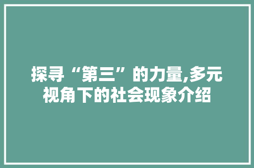 探寻“第三”的力量,多元视角下的社会现象介绍