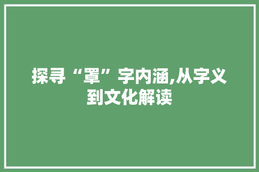 探寻“罩”字内涵,从字义到文化解读