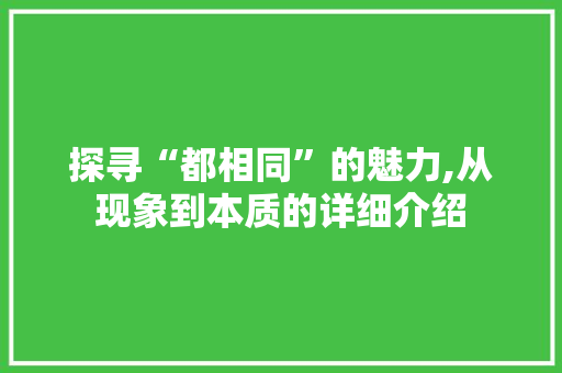 探寻“都相同”的魅力,从现象到本质的详细介绍