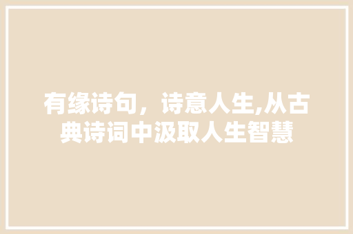 有缘诗句，诗意人生,从古典诗词中汲取人生智慧 采访稿