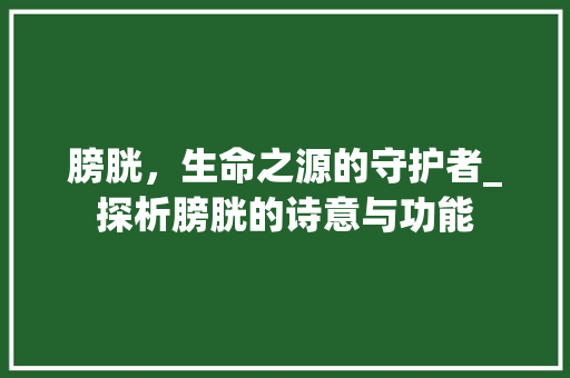 膀胱，生命之源的守护者_探析膀胱的诗意与功能