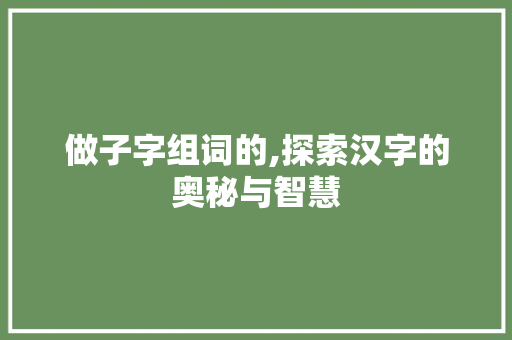 做子字组词的,探索汉字的奥秘与智慧