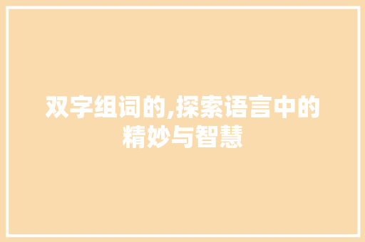 双字组词的,探索语言中的精妙与智慧