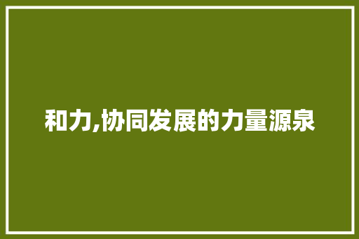 和力,协同发展的力量源泉
