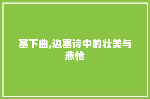 塞下曲,边塞诗中的壮美与悲怆