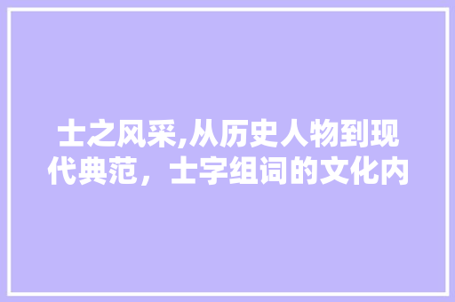 士之风采,从历史人物到现代典范，士字组词的文化内涵与时代价值