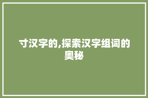 寸汉字的,探索汉字组词的奥秘