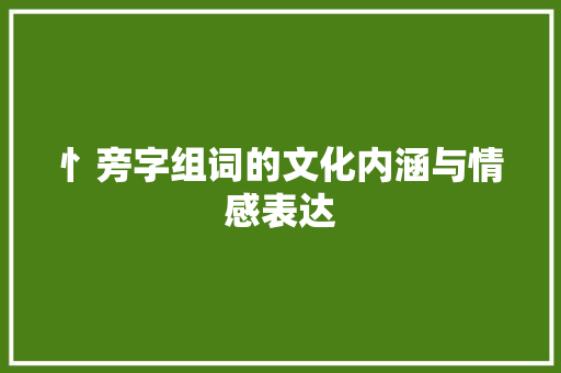 忄旁字组词的文化内涵与情感表达