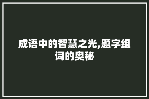 成语中的智慧之光,题字组词的奥秘