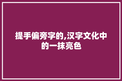 提手偏旁字的,汉字文化中的一抹亮色