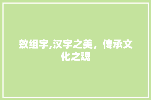 敫组字,汉字之美，传承文化之魂