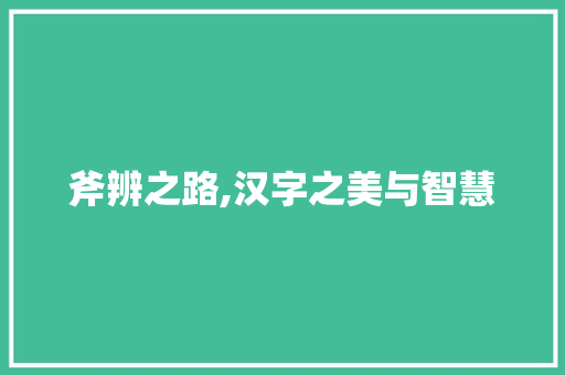 斧辨之路,汉字之美与智慧