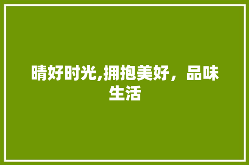 晴好时光,拥抱美好，品味生活