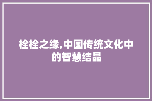 栓栓之缘,中国传统文化中的智慧结晶