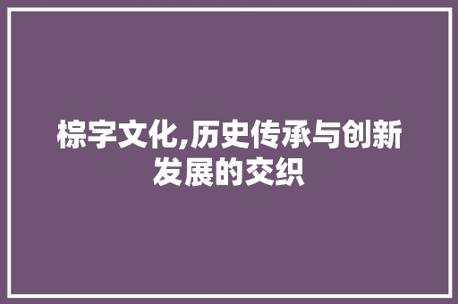 棕字文化,历史传承与创新发展的交织