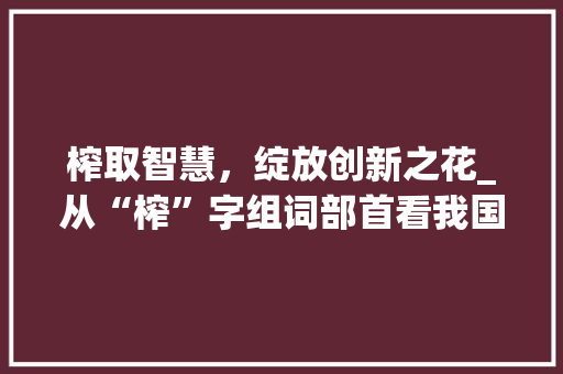 榨取智慧，绽放创新之花_从“榨”字组词部首看我国汉字文化