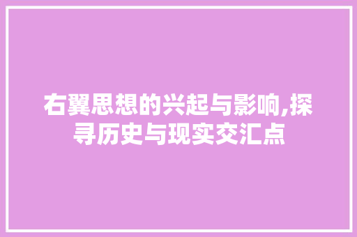 右翼思想的兴起与影响,探寻历史与现实交汇点