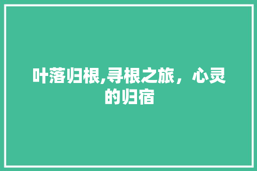 叶落归根,寻根之旅，心灵的归宿