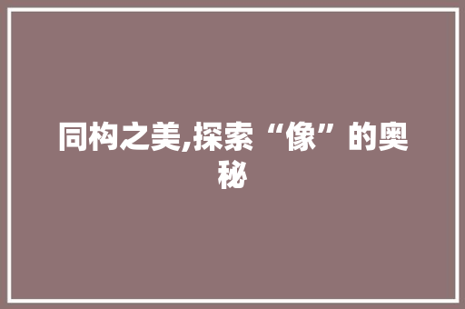 同构之美,探索“像”的奥秘