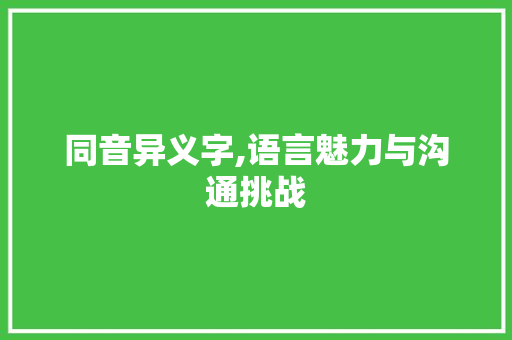 同音异义字,语言魅力与沟通挑战