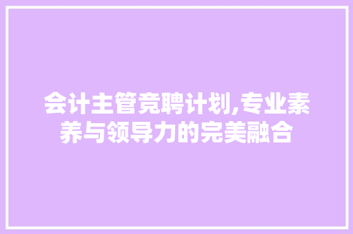 会计主管竞聘计划,专业素养与领导力的完美融合