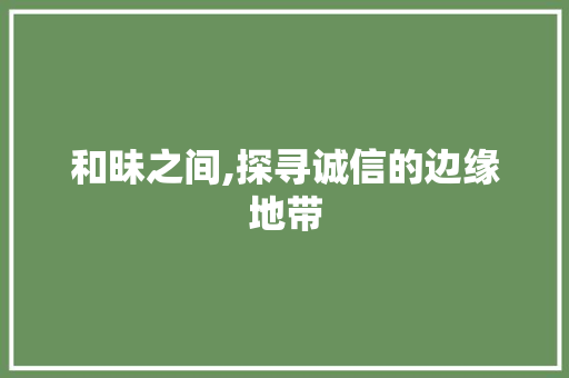 和昧之间,探寻诚信的边缘地带 生活感悟