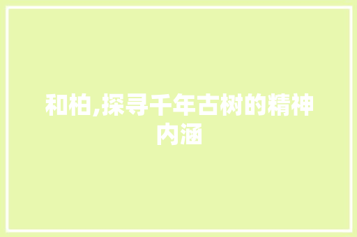 和柏,探寻千年古树的精神内涵