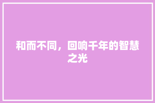 和而不同，回响千年的智慧之光