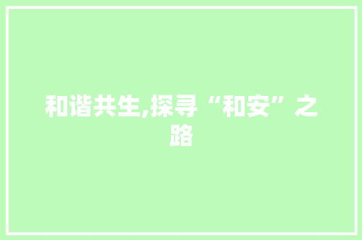 和谐共生,探寻“和安”之路