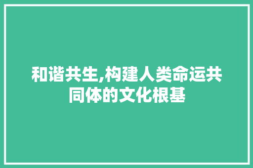 和谐共生,构建人类命运共同体的文化根基