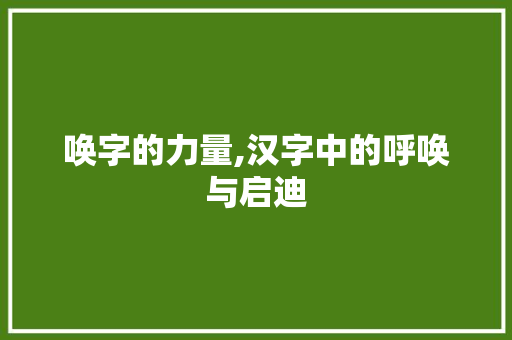 唤字的力量,汉字中的呼唤与启迪